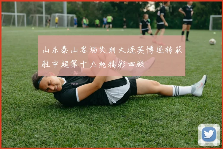山东泰山客场失利大连英博逆转获胜中超第十九轮精彩回顾